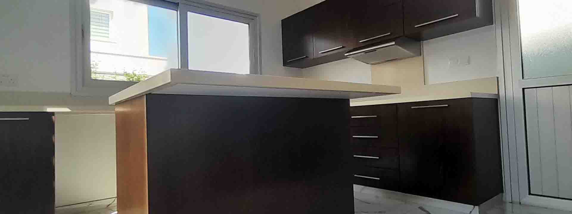 Aristo Developers
